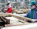 Mỹ kết luận sơ bộ vụ điều tra chống bán phá giá với gỗ dán Việt Nam