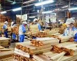 Doanh nghiệp xuất khẩu gỗ đối diện rủi ro mới ở thị trường Mỹ