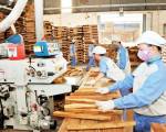 Ngành gỗ khó càng thêm khó vì ‘đối thủ cạnh tranh’ Trung Quốc