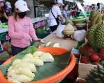 Thái Lan quyết giữ vững vị thế nước xuất khẩu sầu riêng hàng đầu thế giới