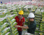 Giá gạo sẽ tiếp tục tăng cao trong năm 2024