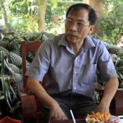 Việt kiều Võ Phát Triển: Về quê mở lối ra cho trái cây