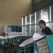 Xuất khẩu gạo : doanh nghiệp sợ ký hợp đồng mới