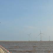 Bạc Liêu sẽ trở thành ‘cánh đồng điện gió’ lớn nhất ĐBSCL