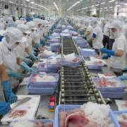 Tập đoàn chế biến hải sản Thái Lan sắp vào Việt Nam