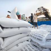 Xuất khẩu gạo tăng mạnh trong tháng đầu năm