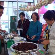Ngày hội nông đặc sản Tết hấp dẫn người Sài Gòn