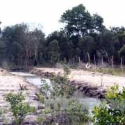Kiên Giang tạm dừng cho thuê môi trường rừng trên đảo Phú Quốc