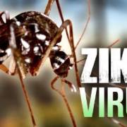 Nhật Bản xác nhận trường hợp nhiễm virus Zika đầu tiên