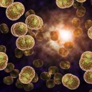 Nước Anh sợ ‘siêu khuẩn lậu’