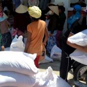 Ninh Thuận cấp gạo cứu đói cho 30.900 hộ dân vùng hạn