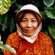 Đồ họa: Cà phê Việt Nam và tầm quan trọng của một chai nước suối