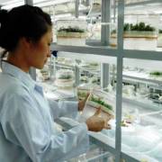 DN Việt Nam chưa đủ sức đầu tư cho khoa học – công nghệ