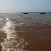 Các chuyên gia đã đến vùng biển có ‘cá chết xếp lớp’ ở Quảng Bình