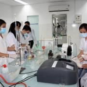 Việt Nam chỉ có hơn 12.000 tiến sĩ tham gia nghiên cứu KH-CN