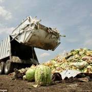 Mỗi năm thế giới mất 940 tỷ USD vì thất thoát thực phẩm