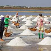 Chính phủ quyết định mua tạm trữ muối hỗ trợ diêm dân