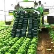Nhật sẽ hỗ trợ Việt Nam trở thành cường quốc nông nghiệp