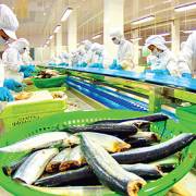 VASEP đòi Formosa ‘có trách nhiệm’ với DN xuất khẩu thủy sản miền Trung