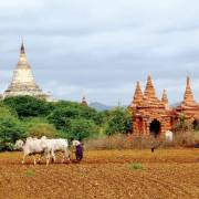 Trả đất cho dân – thách thức của chính phủ Myanmar