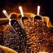CEO Vinacafe thú nhận từng làm cà phê trộn đậu nành