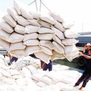 Kim ngạch xuất khẩu gạo tiếp tục giảm sâu