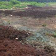 Đồng Nai: Hàng trăm tấn chất thải, bùn thải bị đổ trộm giữa rừng cao su