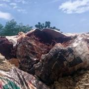 Đà Nẵng phát hiện công ty môi trường chôn lấp chất thải trái phép