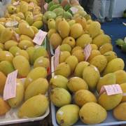 Những trái ngọt đầu tiên từ hiệp định EVFTA