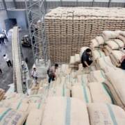 Chính phủ Thái Lan bán 755.000 tấn gạo dự trữ