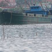 Nghệ An: Bắt tàu đổ hàng trăm tấn chất thải xuống biển