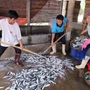 Bộ Y tế công bố kết quả kiểm nghiệm hải sản miền Trung