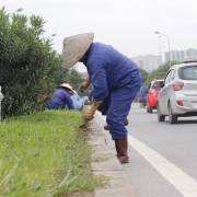 Sau chỉnh đốn Hà Nội tiết kiệm được hơn 700 tỷ tiền cắt cỏ