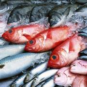 Tiêu hủy hải sản tồn kho không đảm bảo an toàn trong tháng 11