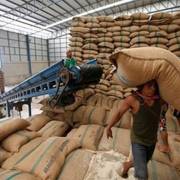 Gạo Thái Lan đang chịu nhiều áp lực giảm giá