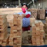 Đơn hàng xuất khẩu của ngành gỗ bắt đầu quay trở lại