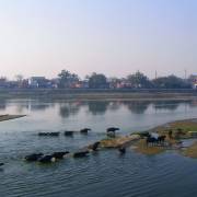 Chút tàn phai bên kia sông Jamuna