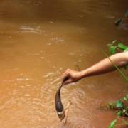 Yêu cầu Công ty Nhôm Đắk Nông – TKV chấm dứt xả nước thải vào suối Đắk Yao