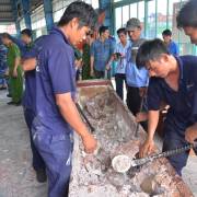 Lại phát hiện 529 kg ngà voi buôn lậu qua cảng Cát Lái