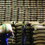 Thái Lan bán đấu giá gần 3 triệu tấn gạo