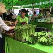 Gần 5 tấn chuối cấy mô Đồng Nai đã được bán ở Phiên chợ Xanh – Tử tế