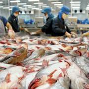 Thực phẩm Việt Nam giảm 50% số vụ vi phạm tại Australia