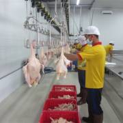 TPHCM: Mở rộng truy xuất nguồn gốc thịt và trứng gia cầm
