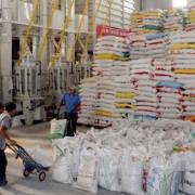 Doanh nghiệp sẽ bao tiêu khoảng 20% sản lượng lúa của Việt Nam
