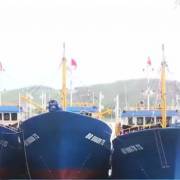 Nhiều chủ tàu vỏ thép ở tỉnh Bình Định nguy cơ phá sản