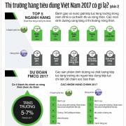 Thị trường hàng tiêu dùng Việt Nam 2017 có gì lạ? (P.2)