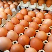 Giá trứng gà rớt mạnh