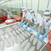 Kim ngạch xuất khẩu cá tra sang thị trường Hoa Kỳ giảm mạnh​