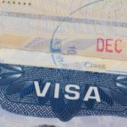 Mỹ sẽ cấp thêm 15.000 thị thực cho lao động nước ngoài từ 19/7
