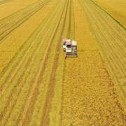 Đề xuất thúc đẩy nguồn cung cho thị trường giao dịch đất nông nghiệp